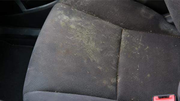 Heavily mold covered car seat upholstery before professional mold interior treatment and car detailing service NYC
