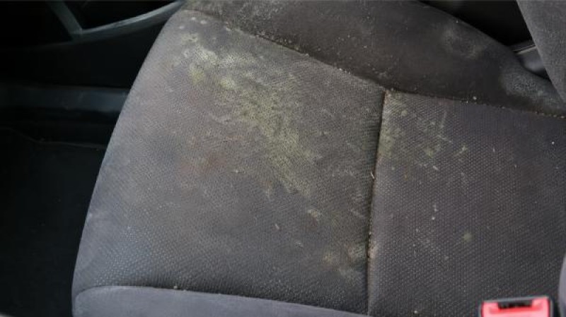 Mold and mildew growth on fabric car seat requiring professional auto interior mold removal and deep cleaning treatment